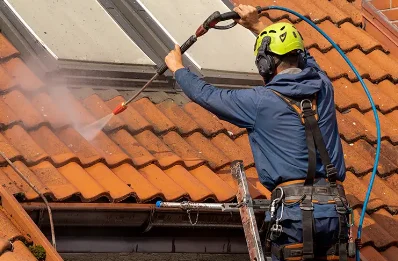 Démoussage et hydrofuge de toiture à Lesparrou